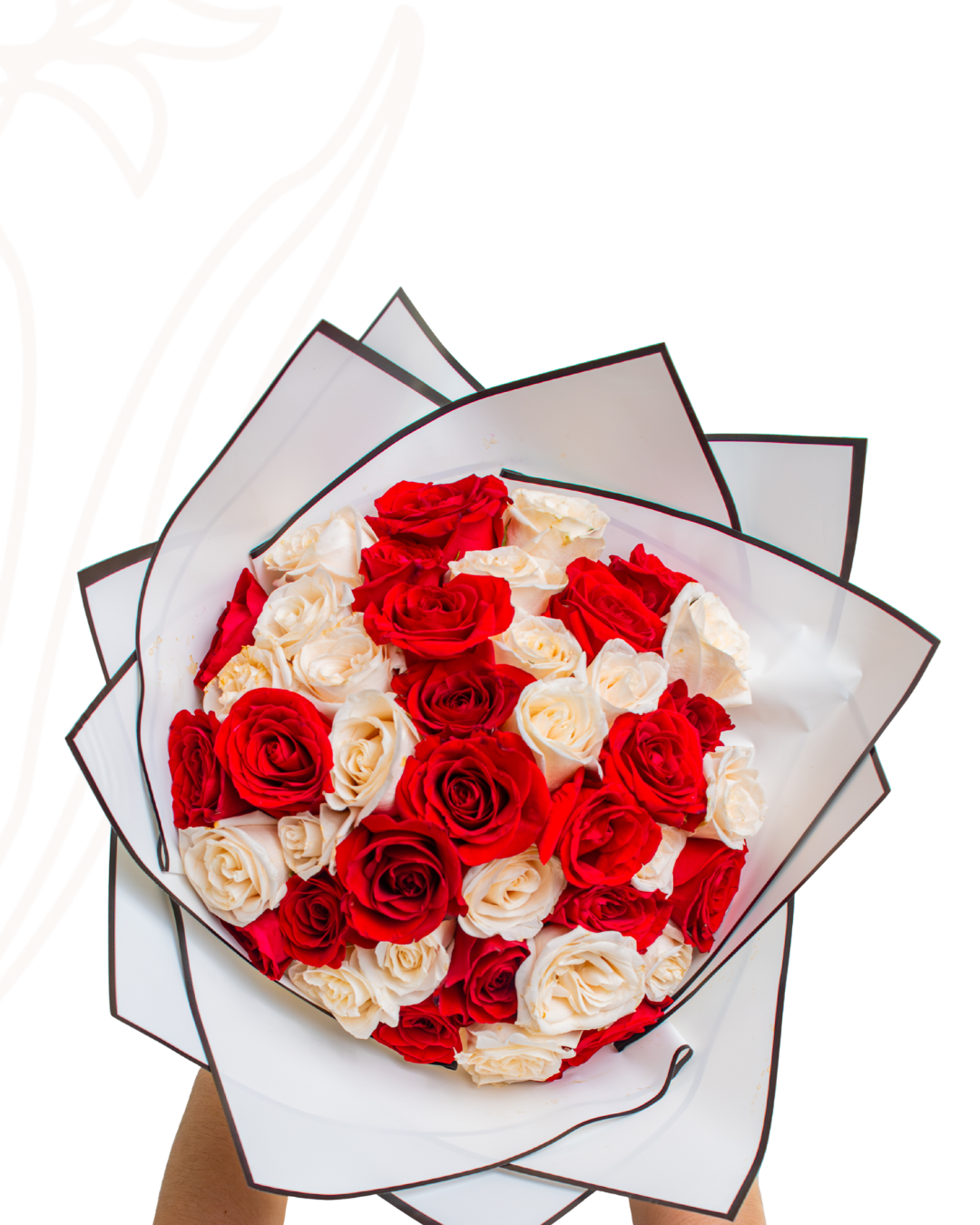 50 rosas