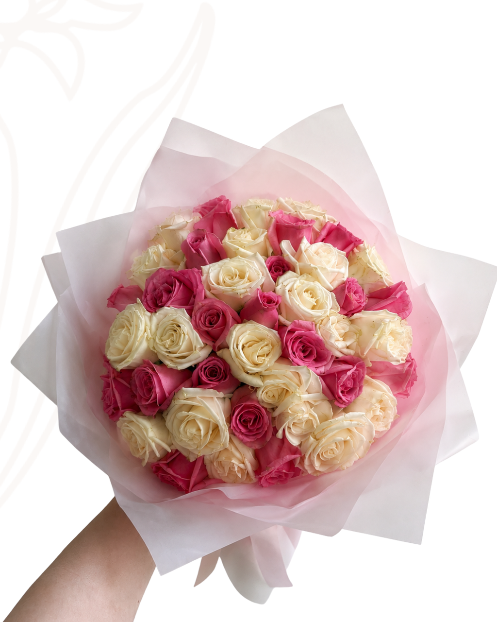 50 rosas