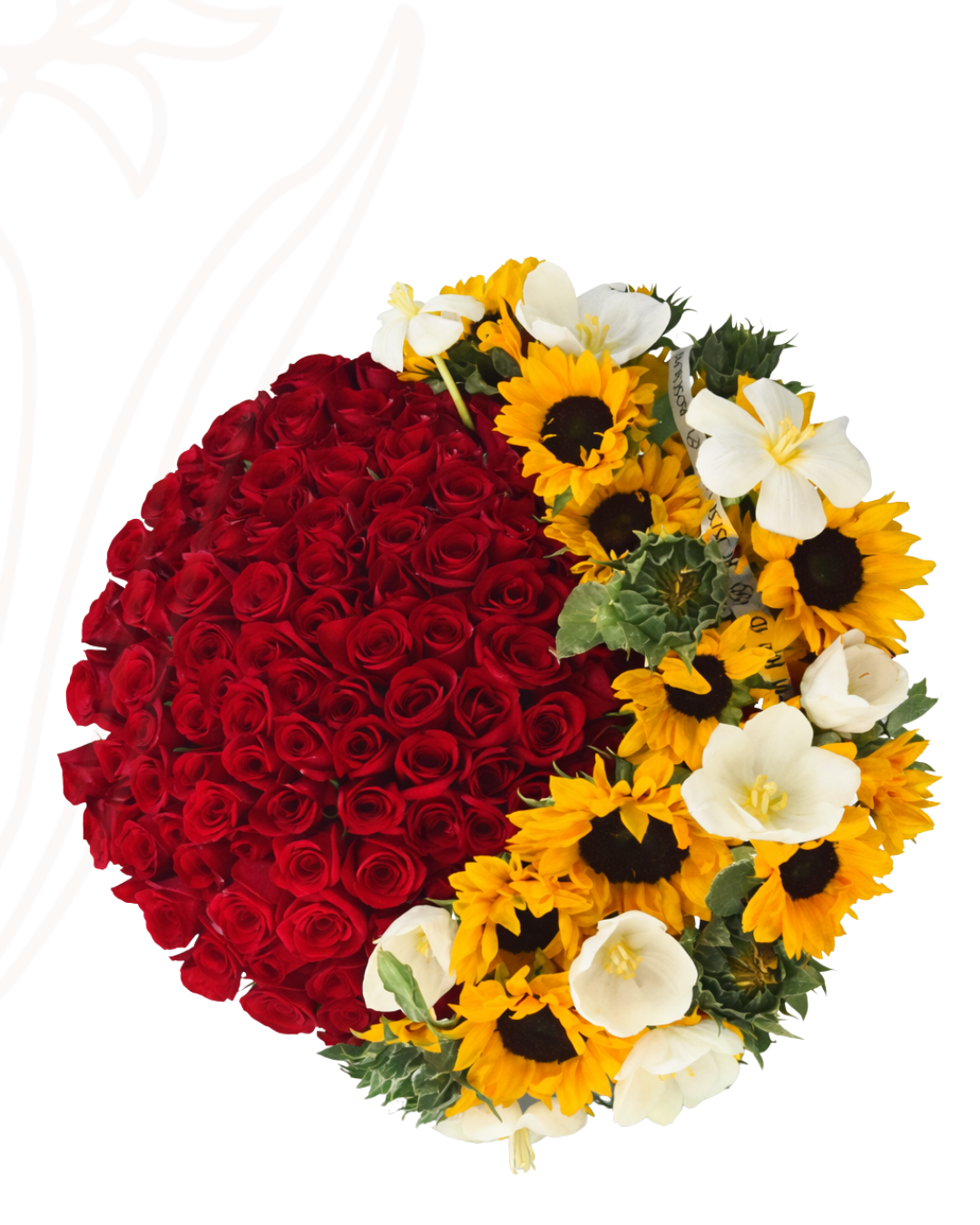 100 rosas con girasol