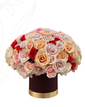 Bloomie box 180