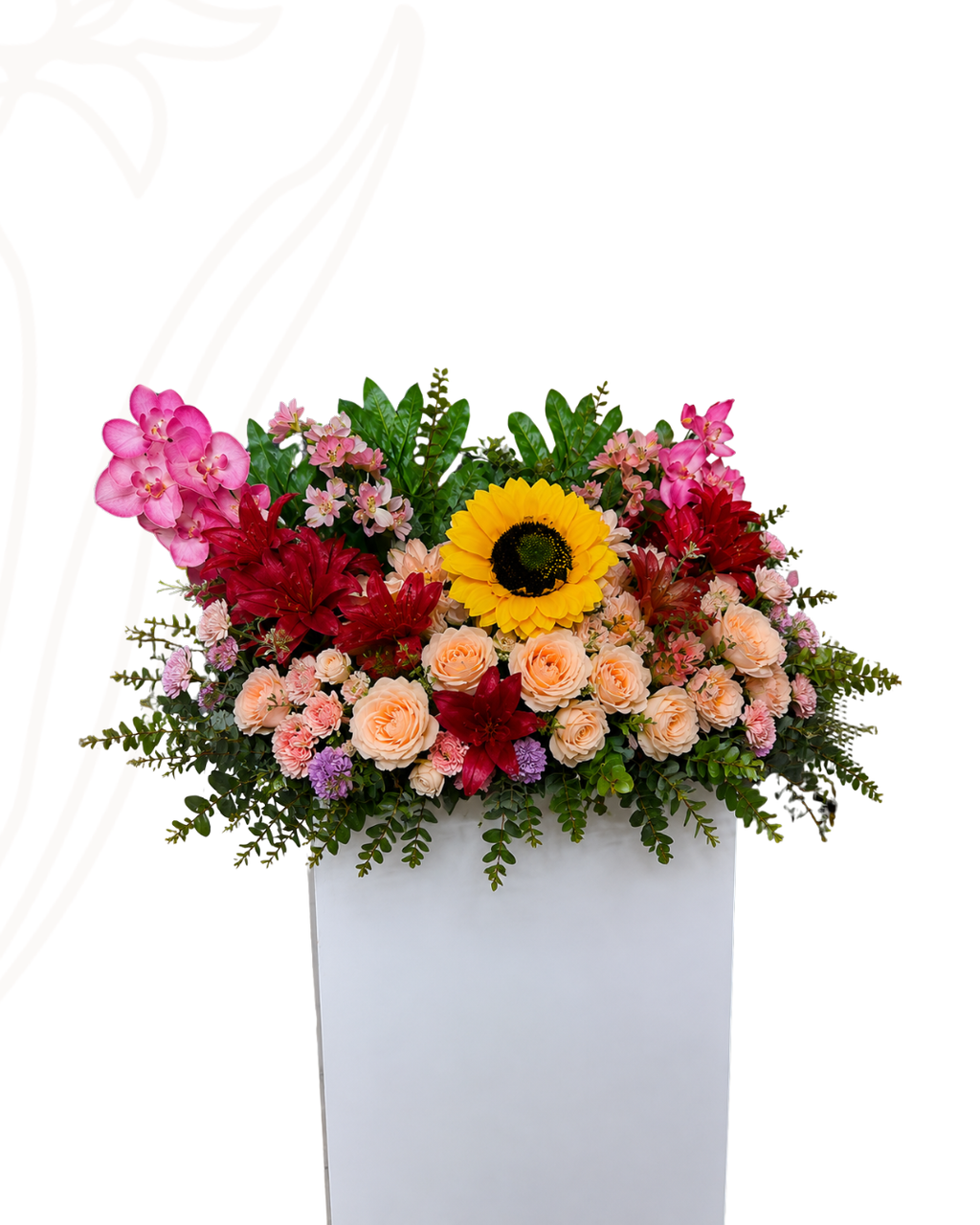 Base blanca para eventos