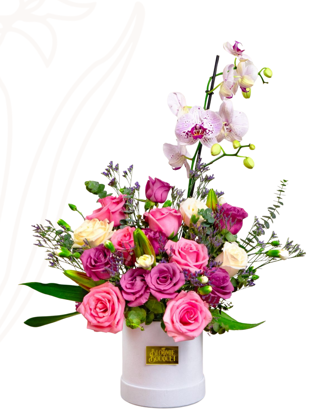Bloomie box orquideas
