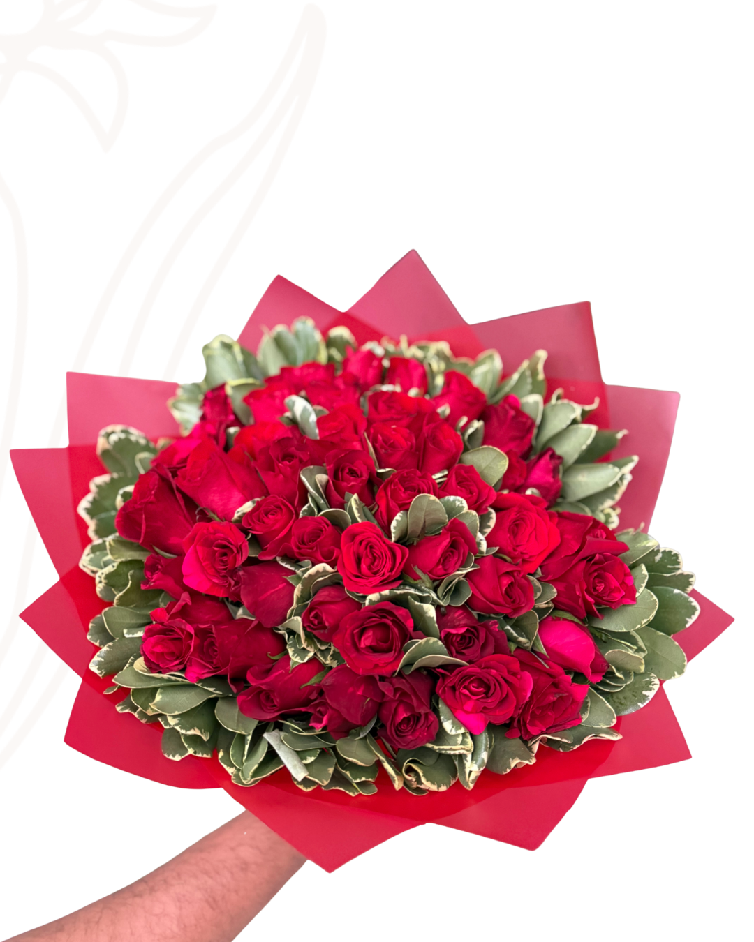 48 rosas con follaje