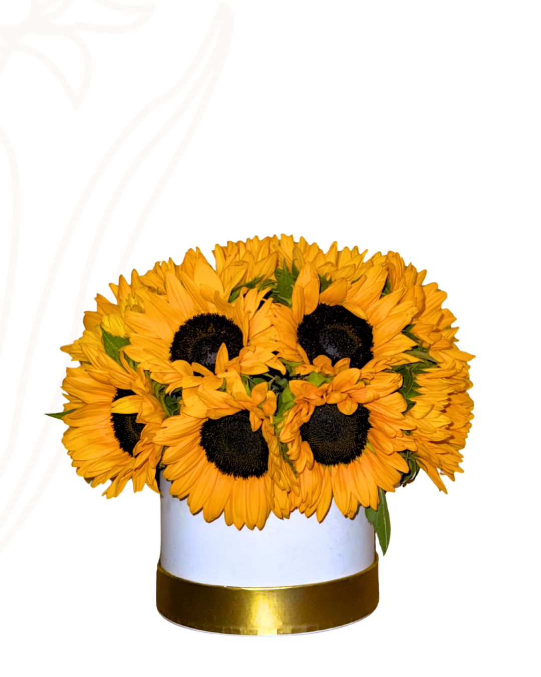 Bloomie sunflower 2