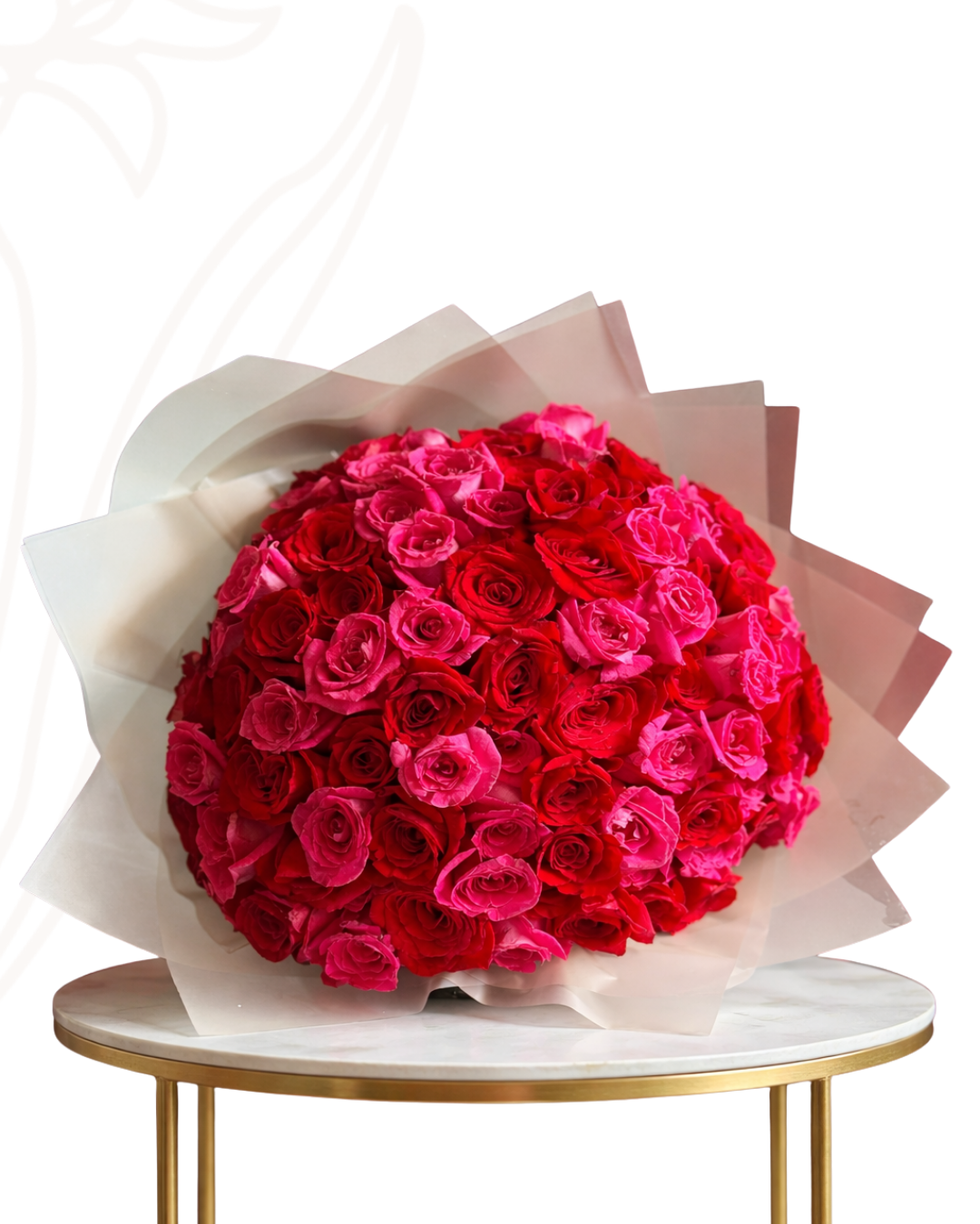 100 rosas